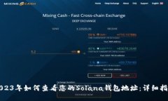 2023年如何查看您的Solana钱包地址：详