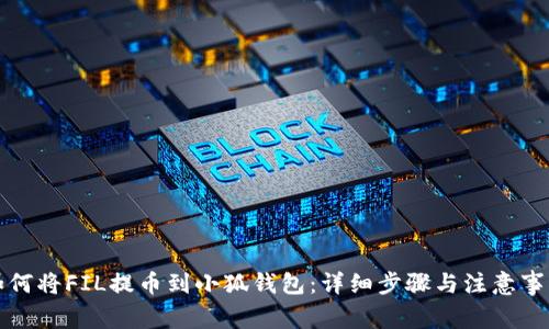 如何将FIL提币到小狐钱包:详细步骤与注意事项
