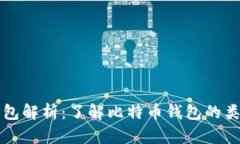 比特币钱包解析：了解比特币钱包的类