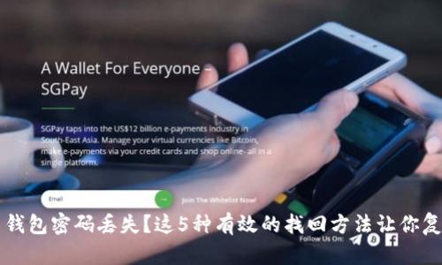 比特币钱包密码丢失?这5种有效的找回方法让你复苏资产