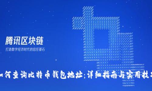 如何查询比特币钱包地址:详细指南与实用技巧