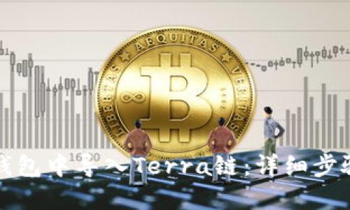 如何在小狐钱包中导入Terra链：详细步骤与实用技巧