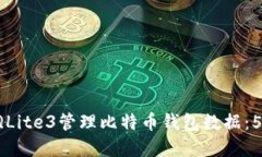 如何使用SQLite3管理比特币钱包数据：