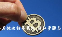 如何导入其他比特币钱包：详细步骤与