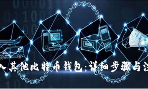 如何导入其他比特币钱包：详细步骤与注意事项