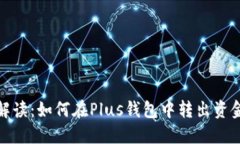 2023年全面解读：如何在Plus钱包中转出