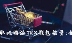 如何获取比特派TRX钱包能量：全面指南