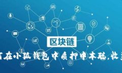 2023年：如何在小狐钱包中质押中本聪