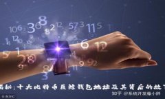 揭秘：十大比特币巨鲸钱包地址及其背