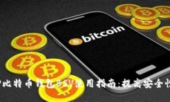 2023年TP比特币钱包BSV使用指南：提高安