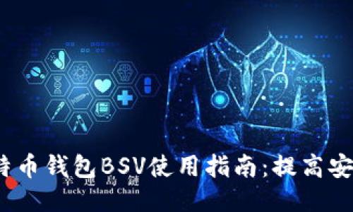 2023年TP比特币钱包BSV使用指南：提高安全性与便捷性
