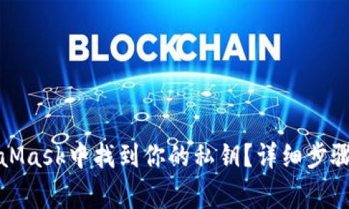 如何在MetaMask中找到你的私钥？详细步骤与注意事项
