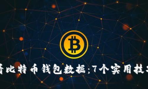 如何查看比特币钱包数据:7个实用技巧和工具