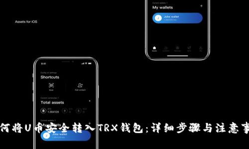 如何将U币安全转入TRX钱包：详细步骤与注意事项