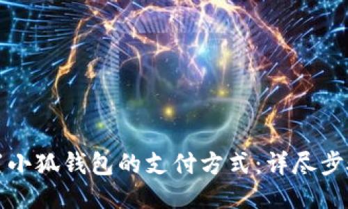 如何设置小狐钱包的支付方式:详尽步骤与技巧
