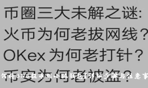 如何将BNB提币到小狐钱包?详细步骤与注意事项