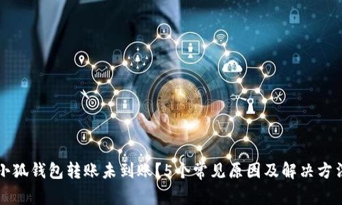 小狐钱包转账未到账？5个常见原因及解决方法