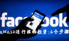 如何使用MetaMask进行植物投资：6个步骤