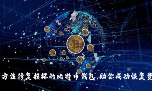 5种方法修复损坏的比特币钱包，助你成功恢复资金!