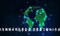 2023年狗狗币钱包资金盘：你需要了解