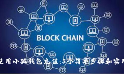 如何使用小狐钱包充值:5个简单步骤和实用技巧