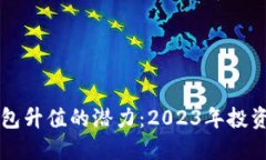 以太坊钱包升值的潜力：2023年投资收