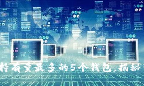 2023年比特币持有量最多的5个钱包，揭秘背后的财富密码