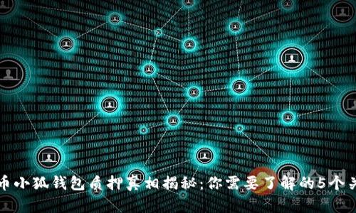 酷尔币小狐钱包质押真相揭秘:你需要了解的5个关键点