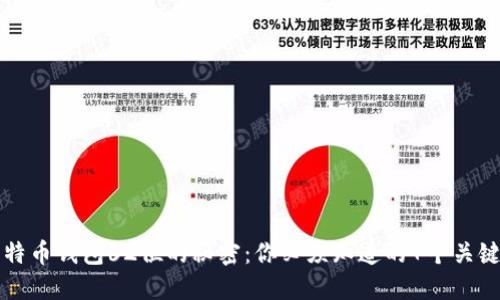 比特币钱包62位的秘密:你必须知道的7个关键点