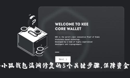 揭秘小狐钱包漏洞修复的5个关键步骤，保障资金安全