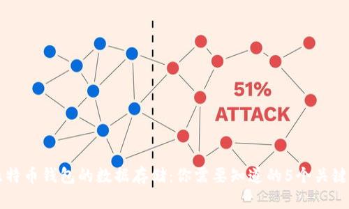 比特币钱包的数据存储:你需要知道的5个关键点