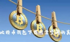 你知道吗？2023年比特币钱包下载所需