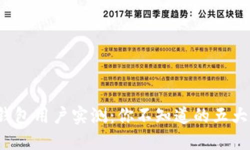 2023年小狐钱包用户实测:你不知道的五大坑与应对方法