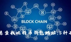 如何快速查找比特币钱包地址：5种有