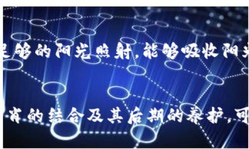   钱包里放水晶狐狸的五个好处，如何选择完美水晶狐狸

 guanjianci 水晶狐狸, 钱包, 风水, 招财, 生肖

水晶狐狸的象征意义
水晶狐狸是一种充满灵性的水晶摆件，具有很强的装饰效果和象征意义。狐狸在许多文化中被视为智慧和灵巧的象征，代表着机智和适应力。而水晶则因其不同的能量和属性被广泛用于风水和灵性领域。将这两者结合在一起，水晶狐狸在钱包里被不少人认为是一种幸运的象征。

提升财运
在某些民族的信仰中，狐狸被认为是招财的吉祥物。将水晶狐狸放在钱包里，寓意着能够为财运带来提升。特别是在风水学中，财位通常与狐狸的智慧息息相关，能够帮助持有者更好地把握机会，吸引财富的到来。通过这种方式，水晶狐狸不只是一个装饰，更多的是一种期望和祝福。

选择合适的水晶狐狸
选择水晶狐狸时，要考虑其颜色和材质。不同的水晶具有不同的能量和属性。例如，紫水晶有助于净化思绪，提高直觉和灵感，而绿色幽灵水晶则被认为能够带来丰饶和昌盛。根据自己的需求，可以在这些材质中选择合适的水晶狐狸，这样在钱包里放着也能时刻感受到它带来的正能量。

水晶狐狸与生肖的关系
在中国文化中，生肖对个人的命运有着深远的影响。如果你的生肖与狐狸相合，比如属鼠或属兔，可以考虑把水晶狐狸放入钱包中，以增强生肖的力量。这不仅是对自己生肖的尊重，还可以借助水晶狐狸的能量来抵御厄运，吸引好运。

水晶狐狸的养护
水晶狐狸作为一种饰品，务必注意其养护。保持清洁是第一步，定期用干布擦拭，以避免灰尘和污垢的堆积。同时，水晶需要得到足够的阳光照射，能够吸收阳光的正能量。此外，还可以将其放在清水中浸泡一段时间，帮助洗净负面能量，让其保持最佳状态。

结语
总之，钱包里放水晶狐狸是一个不错的选择。它不仅能提升个人的财运，还具备一定的装饰效果。通过选择合适的水晶狐狸，与生肖的结合及其后期的养护，可以最大化地发挥其效能。无论你是对风水信仰持开放态度，还是单纯喜爱水晶的美感，水晶狐狸都能为你带来积极的影响。