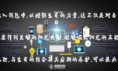   钱包里放水晶狐狸的五个好处，如何选择完美水晶狐狸

 guanjianci 水晶狐狸, 钱包, 风水, 招财, 生肖

水晶狐狸的象征意义
水晶狐狸是一种充满灵性的水晶摆件，具有很强的装饰效果和象征意义。狐狸在许多文化中被视为智慧和灵巧的象征，代表着机智和适应力。而水晶则因其不同的能量和属性被广泛用于风水和灵性领域。将这两者结合在一起，水晶狐狸在钱包里被不少人认为是一种幸运的象征。

提升财运
在某些民族的信仰中，狐狸被认为是招财的吉祥物。将水晶狐狸放在钱包里，寓意着能够为财运带来提升。特别是在风水学中，财位通常与狐狸的智慧息息相关，能够帮助持有者更好地把握机会，吸引财富的到来。通过这种方式，水晶狐狸不只是一个装饰，更多的是一种期望和祝福。

选择合适的水晶狐狸
选择水晶狐狸时，要考虑其颜色和材质。不同的水晶具有不同的能量和属性。例如，紫水晶有助于净化思绪，提高直觉和灵感，而绿色幽灵水晶则被认为能够带来丰饶和昌盛。根据自己的需求，可以在这些材质中选择合适的水晶狐狸，这样在钱包里放着也能时刻感受到它带来的正能量。

水晶狐狸与生肖的关系
在中国文化中，生肖对个人的命运有着深远的影响。如果你的生肖与狐狸相合，比如属鼠或属兔，可以考虑把水晶狐狸放入钱包中，以增强生肖的力量。这不仅是对自己生肖的尊重，还可以借助水晶狐狸的能量来抵御厄运，吸引好运。

水晶狐狸的养护
水晶狐狸作为一种饰品，务必注意其养护。保持清洁是第一步，定期用干布擦拭，以避免灰尘和污垢的堆积。同时，水晶需要得到足够的阳光照射，能够吸收阳光的正能量。此外，还可以将其放在清水中浸泡一段时间，帮助洗净负面能量，让其保持最佳状态。

结语
总之，钱包里放水晶狐狸是一个不错的选择。它不仅能提升个人的财运，还具备一定的装饰效果。通过选择合适的水晶狐狸，与生肖的结合及其后期的养护，可以最大化地发挥其效能。无论你是对风水信仰持开放态度，还是单纯喜爱水晶的美感，水晶狐狸都能为你带来积极的影响。