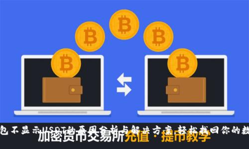 小狐钱包不显示USDT的原因分析与解决方案,轻松找回你的数字资产