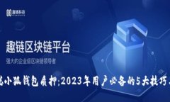 中本聪小狐钱包质押：2023年用户必备