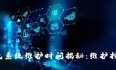 小狐钱包系统维护时间揭秘：维护持续
