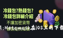 2023年最新：Metamask在iOS上的下载与使用
