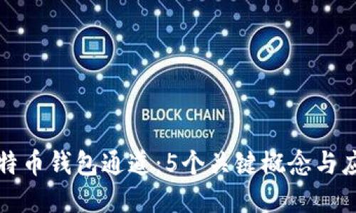 详解比特币钱包通道:5个关键概念与应用案例