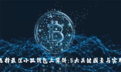 如何选择最佳小狐钱包上薄饼：5大关