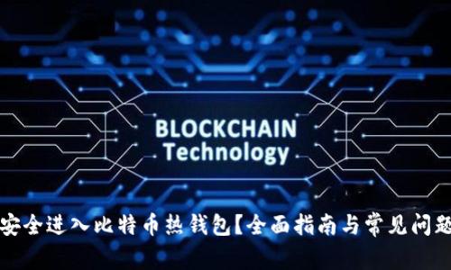 如何安全进入比特币热钱包?全面指南与常见问题解析