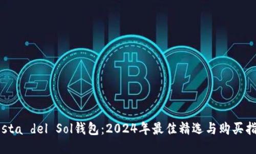 Costa del Sol钱包：2024年最佳精选与购买指南