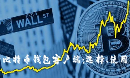 全面解析比特币钱包客户端：选择、使用与安全性