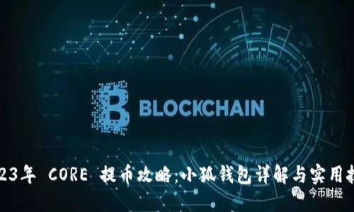 2023年 CORE 提币攻略：小狐钱包详解与实用技巧