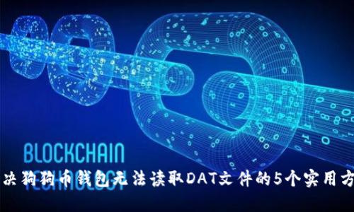 解决狗狗币钱包无法读取DAT文件的5个实用方法