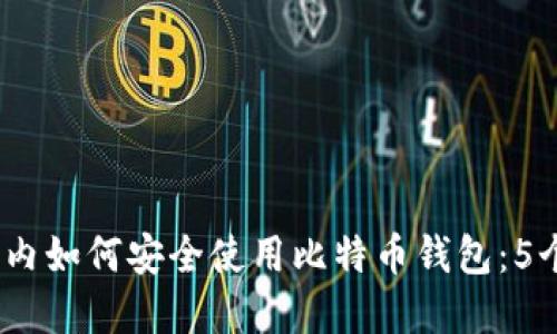 2023年国内如何安全使用比特币钱包：5个实用建议