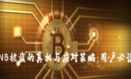 小狐钱包BNB被盗的真相与应对策略:用户必读的5大教训