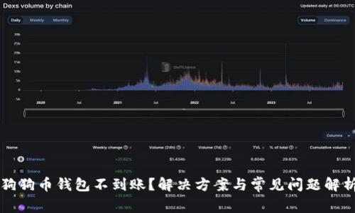 狗狗币钱包不到账？解决方案与常见问题解析